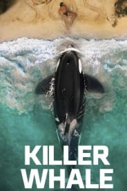 Killer Whale