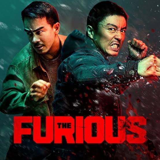 The Furious Poster
